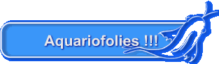 Aquariofolies !!!